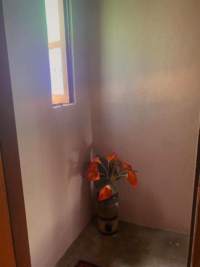 Apartamento rústico Apartment Cabo Frio Bagian luar foto